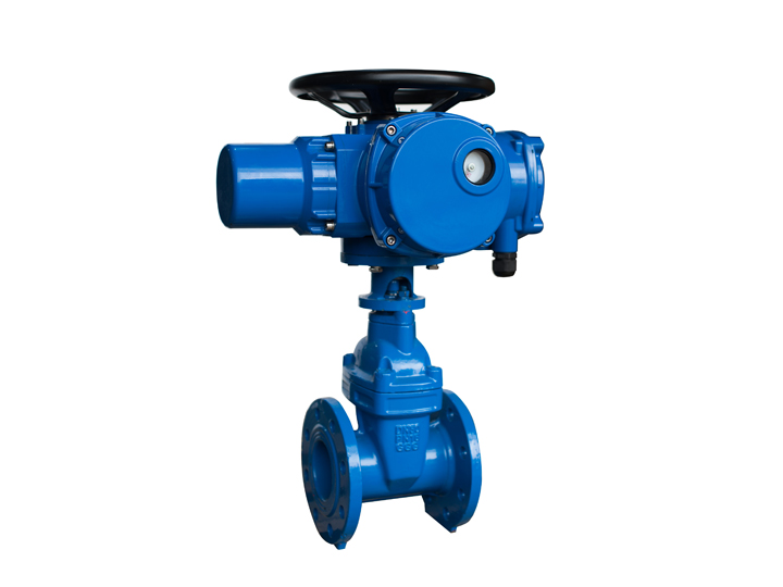 RHDZ15普通型電動閘閥